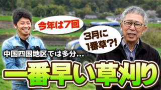 【今年は7回収穫】3月に1番牧草収穫？！中国四国地区では一番早いかも？【DNW425】