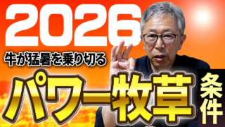 2026牛が暑い夏を乗り切るパワー牧草サイレージの条件【DNW429】