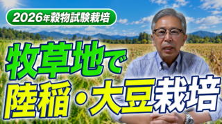 2026年 牧草地で穀物試験栽培をやって見えた可能性と今後の課題【DNW440】