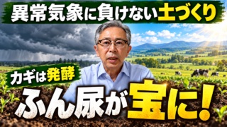 異常気象に負けない土づくり！発酵したふん尿が「宝」に変わる【DNW442】